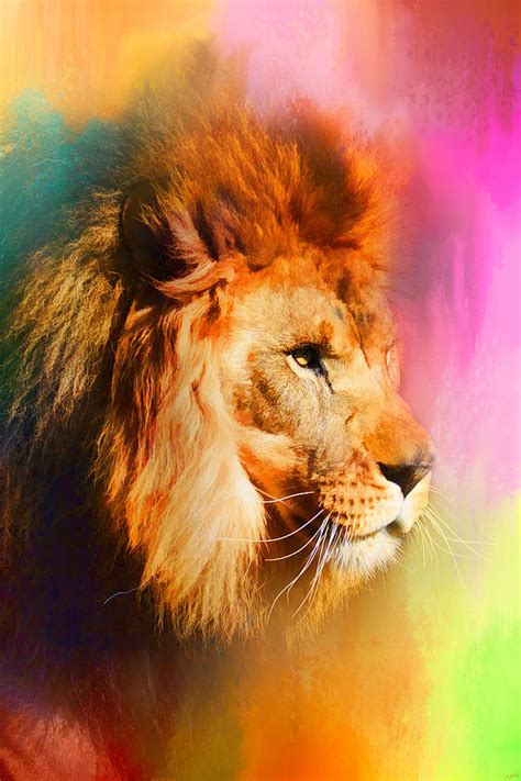 Colorful Expressions Lion Photograph By Jai Johnson Fine Art America
