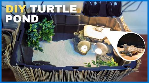 Setting Up Mini Indoor Turtle Pond Diy Youtube