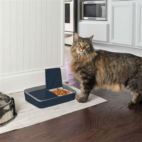 This smart pet feeder is equipped with advanced technology that enables planned feeding with consistent quantity. PetSafe Two Meal Automatic Pet Feeder | BaxterBoo