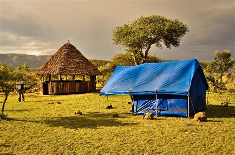 Finden sie hochwertige fotos, die sie anderswo vergeblich suchen. Masai Mara Safari 2020/21 | Adventure Alternative