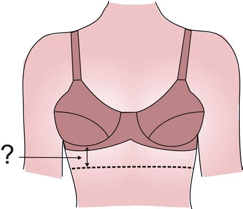 Sewing lingerie intimidates most sewists. Make your Bra a Longline Bra | Diy fashion no sew ...
