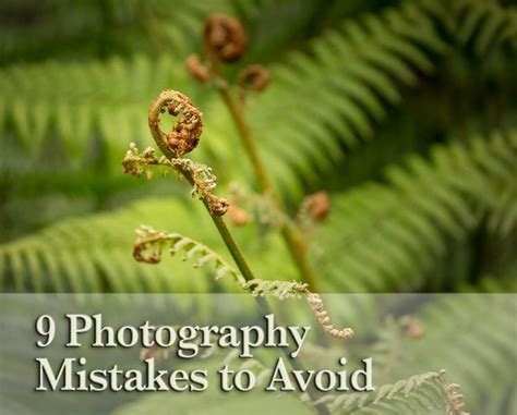 9 Beginner Photography Mistakes And Tips For How To Avoid Them