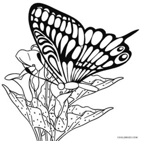 The sight of a fluttering butterfly brings a smile on most children. Printable Butterfly Coloring Pages For Kids