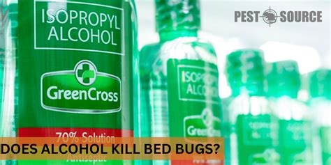 Does Alcohol Kill Bed Bugs Pest Source