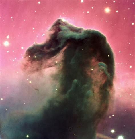 Spacett Hubble Telescope Takes A New Look At The Horse Head Nebula