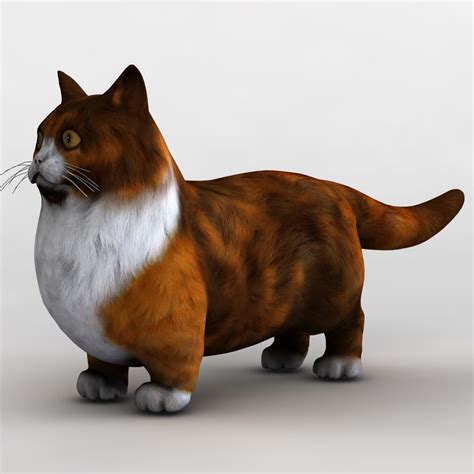 Just one week left to submit your interdimensional vr avatar or gallery space! munchkin cat animal 3d model