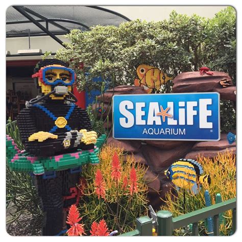 A Picture Tour Of Sea Life Aquarium At Legoland California Resort