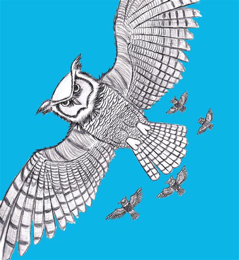 Great Horned Owls In Flight By Shikagemaru On Deviantart