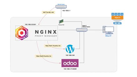 Nginx Proxy Manager Quản lý Reverse Proxy trực quan bằng giao diện Web UI Thuận Bùi Blog
