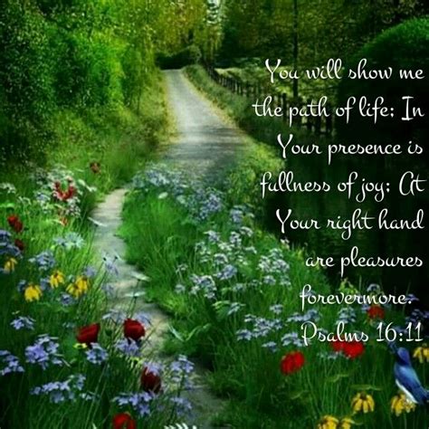 Psalm 1611 Life Path Scripture Pictures Time Proverbs