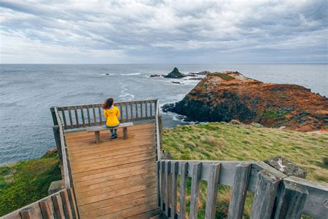 23 Best Things To Do In Phillip Island Australia By A Local The