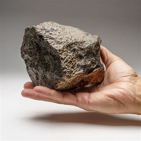 Genuine Natural 020 Dhofar Meteorite Astro Gallery Touch Of Modern