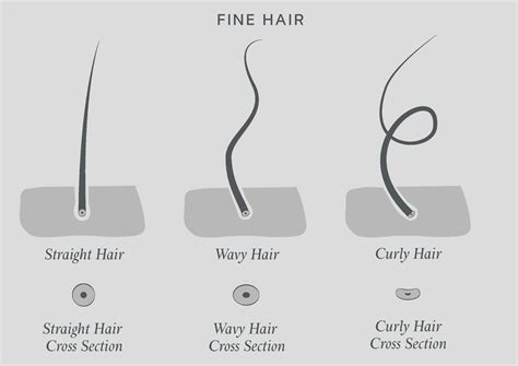 What Is Fine Hair How To Style And Care For Fine Hair