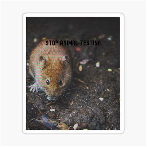 Stop Animal Testing Sticker For Sale By Protectanimals Redbubble