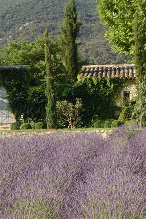 Provenza Jardin De Provence Jardin Méditerranéen Jardins
