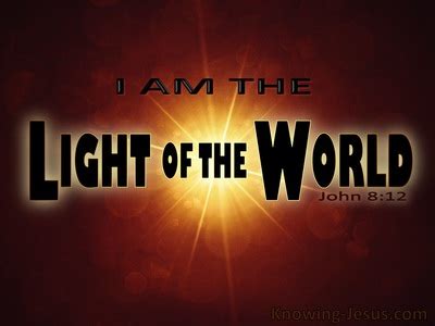 ♥ image is 5 x 7 and printed onto 8 x 10 archival quality epson velvet fine. 13 Bible verses about From Darkness To Light