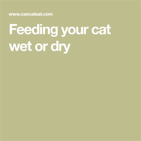 Feeling unsure how much to feed your new pet? 13 Facts On How Much Wet And Dry Food To Feed A Cat | Wet ...