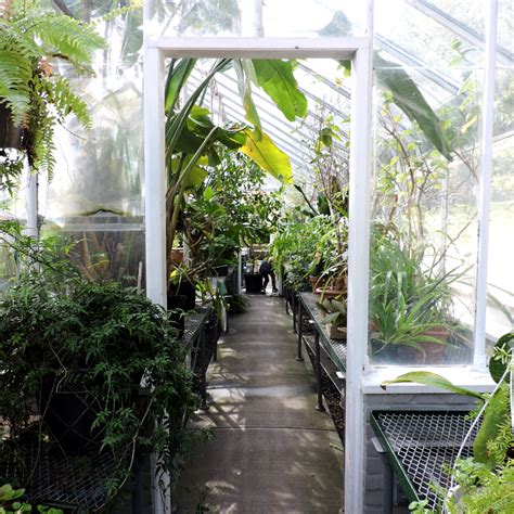 Greenhouse Gardening Tips for Beginners Rural Mom