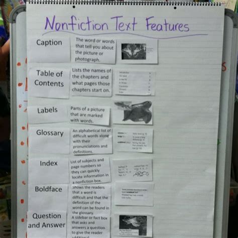 Nonfiction Text Features Vocabulary Anchor Chart Students Matched The