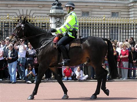 Making And Breaking Barriers Assessing The Value Of Mounted Police