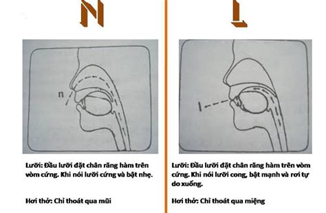 Khắc phục cách phát âm l và n trong tiếng Việt không phải ai cũng biết TRẦN HƯNG ĐẠO