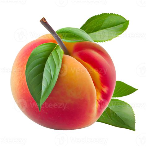 Peach Fruit Png Peach On Transparent Background 22825550 Png