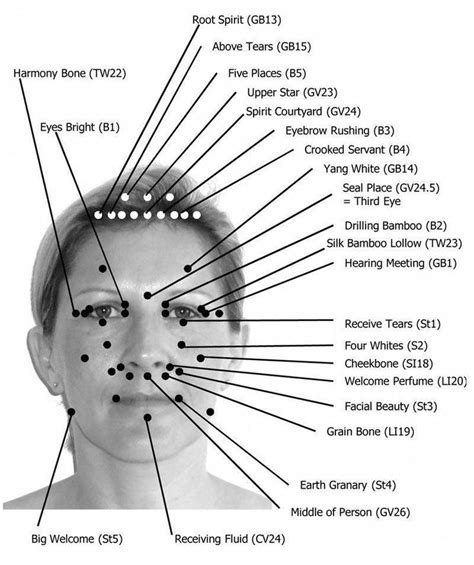 Head Acupuncture Points Chart