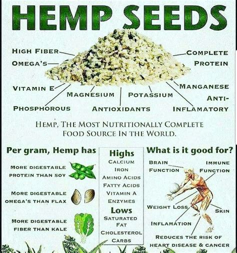 The benefits of hemp oil help reduce acne and relieve eczema. Hemp seeds health benefits #plantpowerz # ...