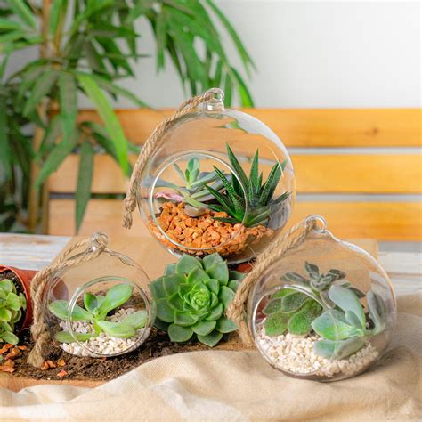 If you need to decorate a larger area, you can buy more packa Terrarium Glass Plant Succulent Planter Indoor Hanging ...