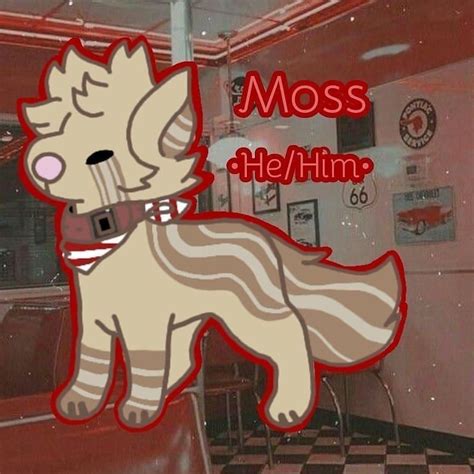 💚 Moss On Toyhouse