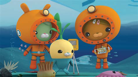 Octonauts Special The Over Under Adventure Abc Iview