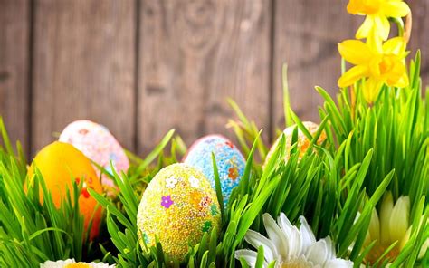 Easter Easter Eggs Flowers Eggs Hd Wallpaper Peakpx