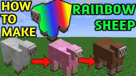 How To Make Rainbow Sheep Xeuhdg