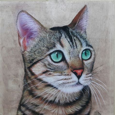 (though i don't see a point to do that with the kitten). Cat Pastel Drawing on Behance