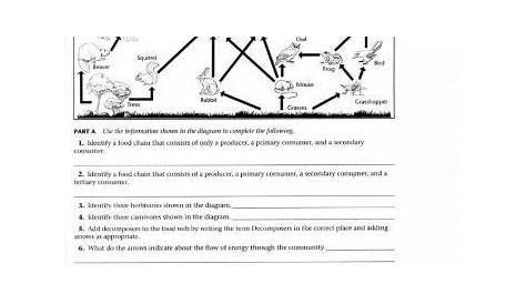 Critical thinking diagram worksheet 10-1 / mycorezone.com