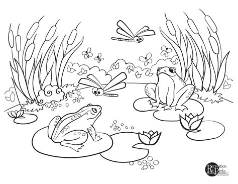 16 Pond Habitat Coloring Pages Printable Coloring Pages