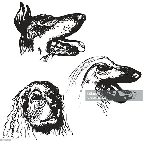 Sketch Dog Set Stock Illustration Download Image Now Dog Drawing