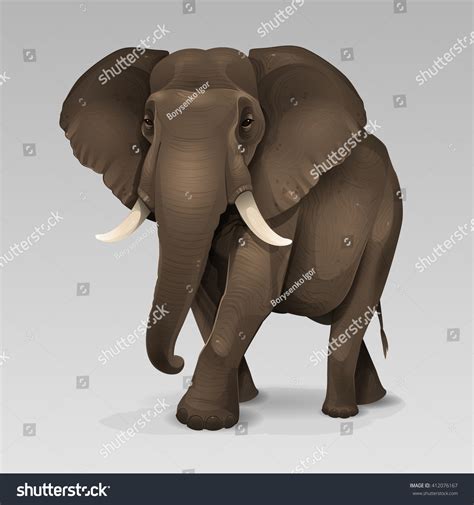 African Elephant Vector