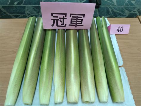 名站推薦 tips：2021年6月24日 已更新失效連結 total 13 ». 新北市第2屆三芝美人腿評鑑出爐囉~~(桃園區農業改良場)