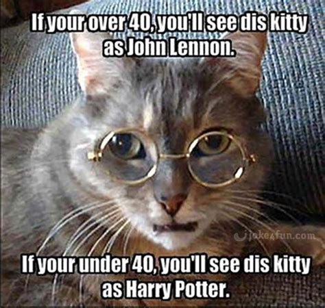 Grasp The Shocking Funny Cat Monday Memes Hilarious Pets