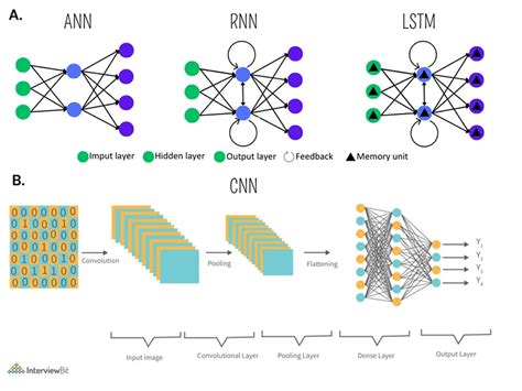 Artificial Neural Networks Vs Human Brain Equinox Ai Lab