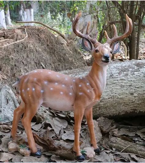 Large 55x20x65cm Simulation Male Sika Deer Model Environmentally Resin