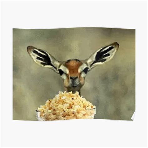 Deer Eating Popcorn Meme Poster By Mikejak Redbubble