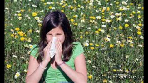 Allergic To Flower Sneezing YouTube