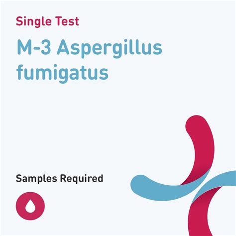 Medical Diagnosis M 3 Aspergillus Fumigatus