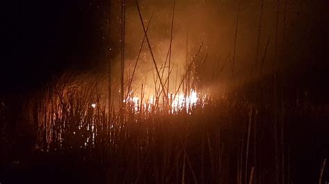 Mai multe echipe ale isu dobrogea au plecat spre incendiu. Incendiu în zona Vărărie Baltă din municipiul Tulcea ...