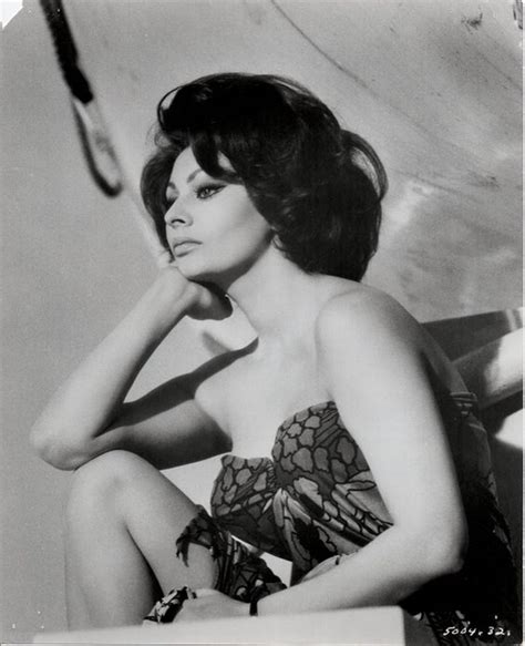 Distracted Film On Twitter Sofia Loren Sophia Loren Photo Sophia Loren
