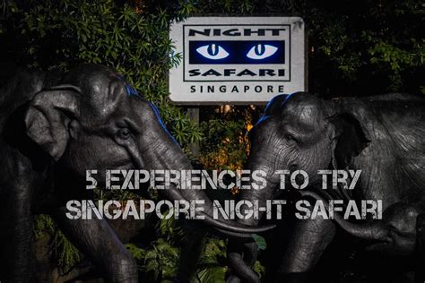 Singapore Night Safari Review 5 Must Do Experiences
