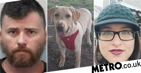 Pet Owner Arranged For Dog To Have Sex With Woman For Its