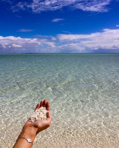 Jika dipadukan dengan material lain, maka perhiasan dari kerang ini juga semakin indah. Foto: Bukan Pasir Putih, Pantai Ini dari Ribuan Kulit Kerang